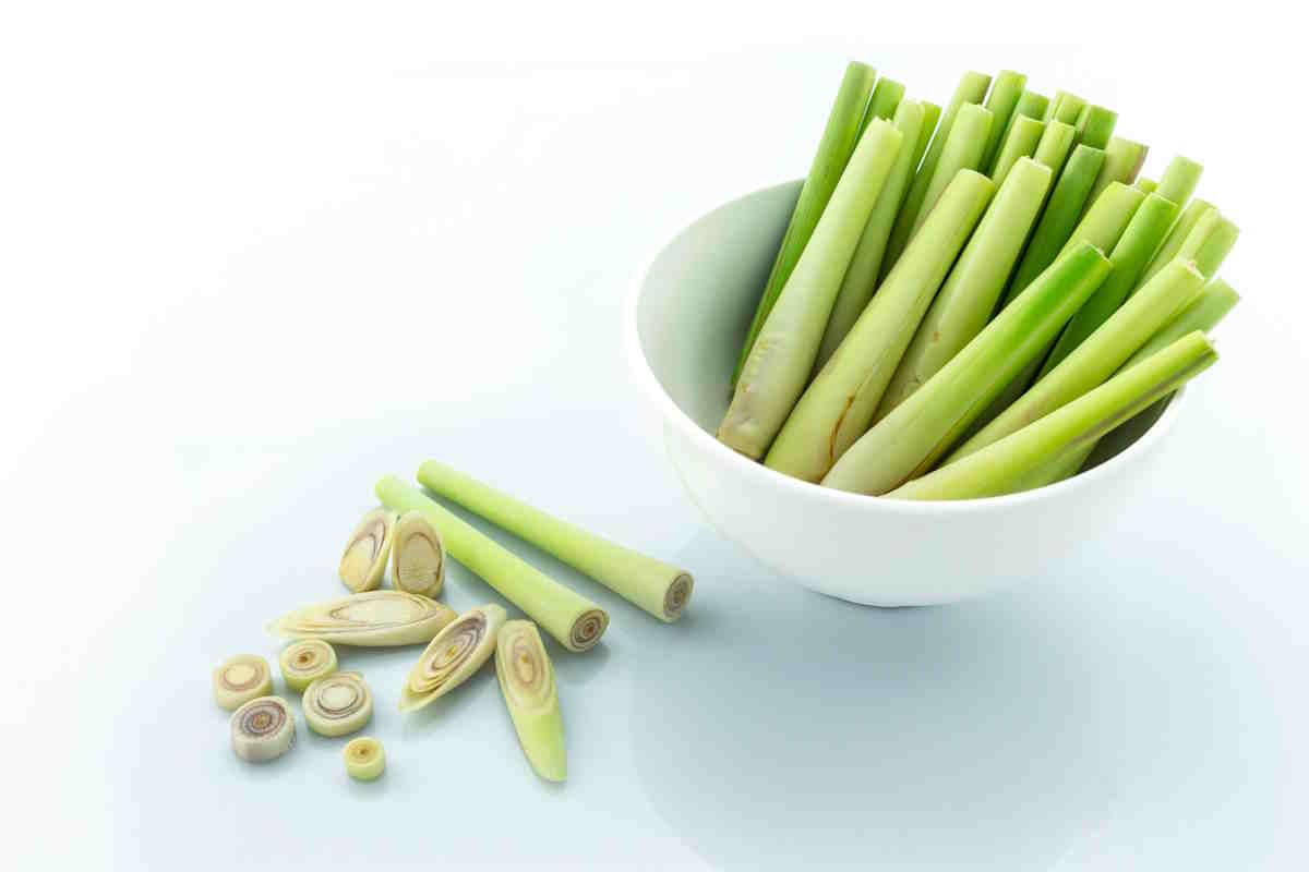 Kakerlaken: Dieses einfache Blatt ist das perfekte Mittel, um sie für immer loszuwerden.