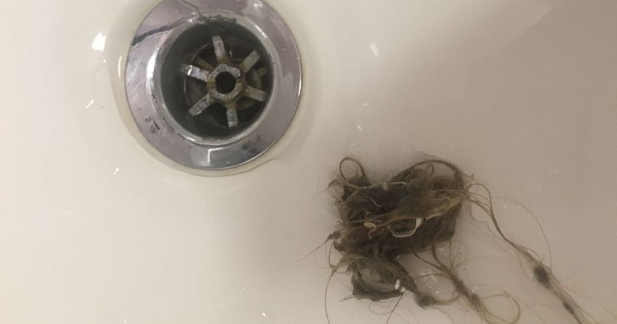 Dieses Accessoire, das oft in der Küche zu finden ist, entfernt Haare aus der Dusche, ohne sie überhaupt zu berühren.