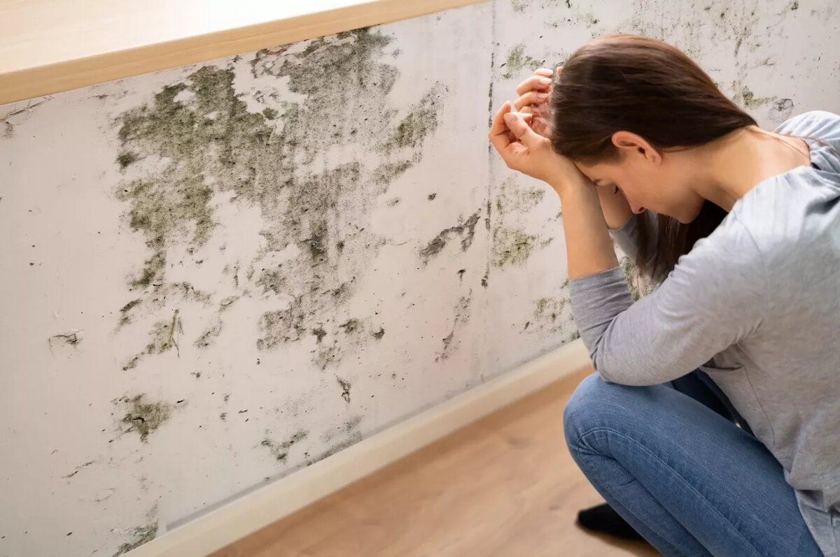 Auf Wiedersehen, Feuchtigkeit und schwarze Flecken: Diese natürliche Mischung hält Ihre Wände trocken