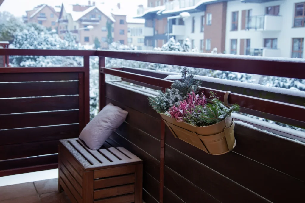 Zögern Sie nicht und holen Sie sie vom Balkon herein. Welche Pflanzen sollten Sie für den Winter ins Haus holen?