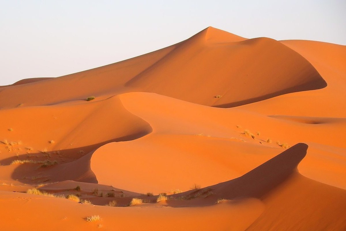 Ein vergessenes Dorf unter dem Sand. Zwei 7000 Jahre alte Mumien in der Sahara enthielten DNA, die nicht zu modernen Menschen gehört.