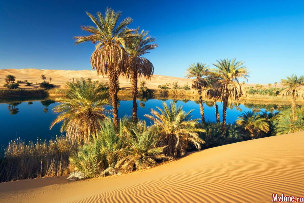 Ein vergessenes Dorf unter dem Sand. Zwei 7000 Jahre alte Mumien in der Sahara enthielten DNA, die nicht zu modernen Menschen gehört.