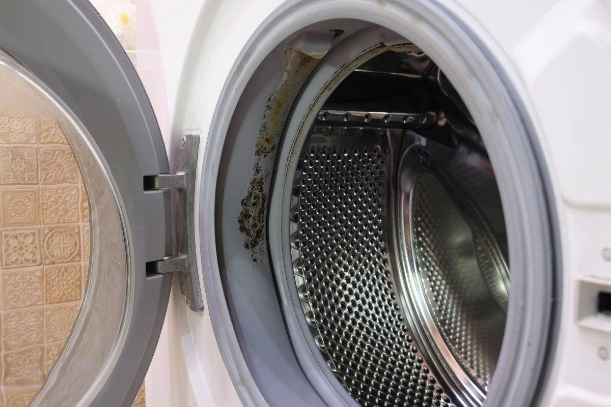 Weder Essig noch Backpulver: Die einzige Möglichkeit, den Gummidichtungsring der Waschmaschine effektiv zu reinigen