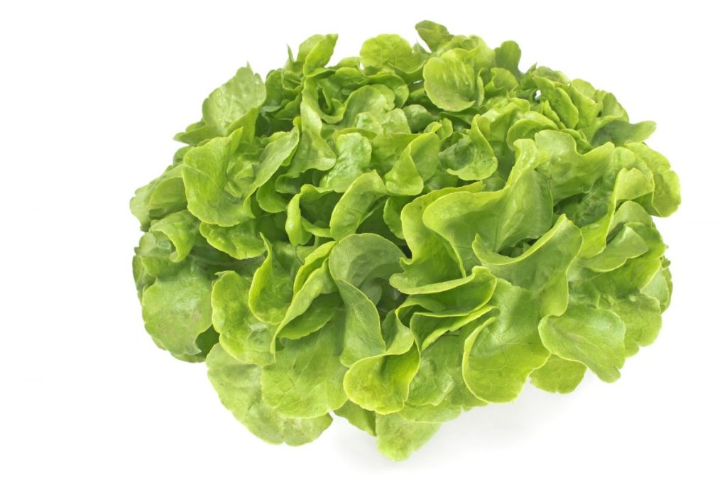 Der unerwartete Champion in Sachen Ballaststoffgehalt: Dieses Gemüse übertrifft Spinat und Kohl.