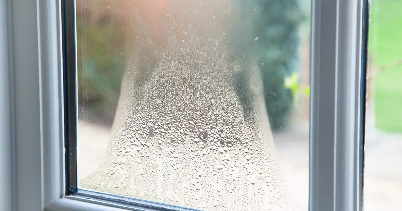 Mit diesem einfachen Hausmittel gegen Feuchtigkeit in Ihrem Zuhause brauchen Sie keinen Luftentfeuchter mehr